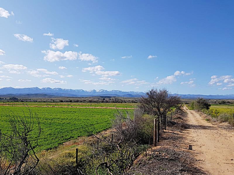 0 Bedroom Property for Sale in Calitzdorp Western Cape